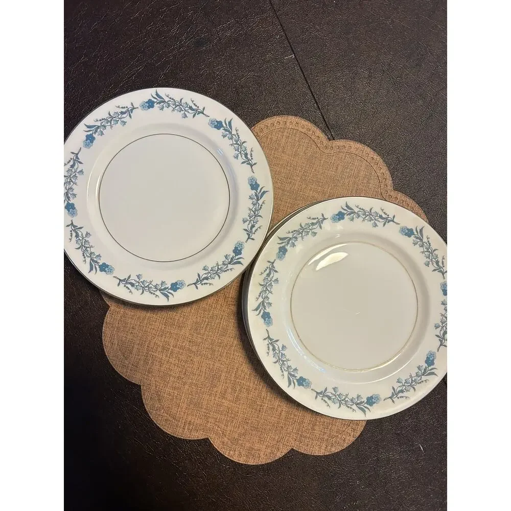 Theodore Haviland New York, Clinton, Set Of 6 Salad/Dessert Plates, 8 1/2”